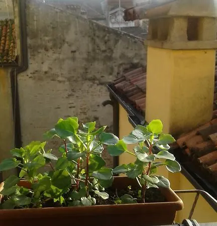 Il Ritorno Del Fidanzato Appartement *